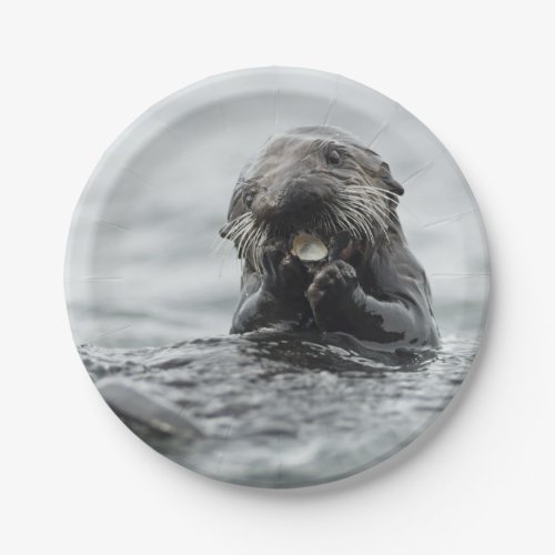 Adorable Sea Otter Paper Plates