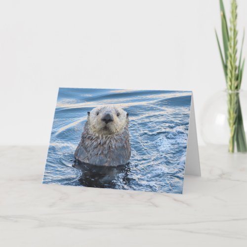 Adorable Sea Otter Peeks Card