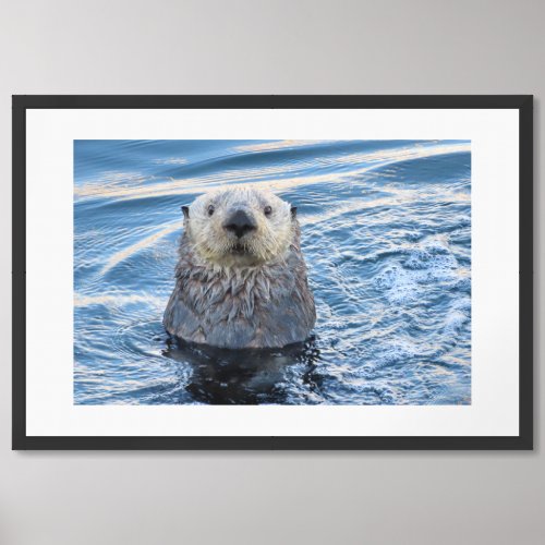 Adorable Sea Otter Peeks  Framed Art