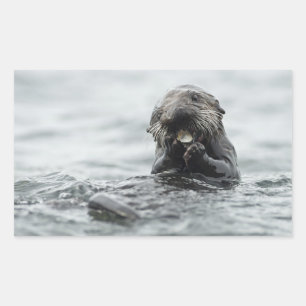 Adorable Sea Otter Rectangular Sticker