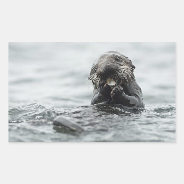 Adorable Sea Otter Rectangular Sticker (Front)