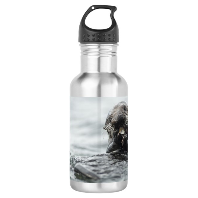 Adorable Sea Otter Stainless Steel Water Bottle (Front)