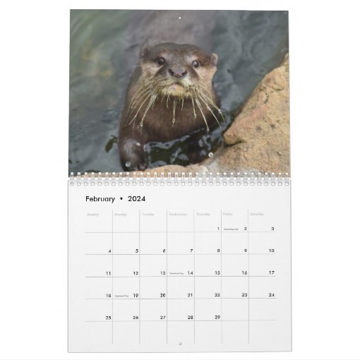 Adorable Sea Otters 2024 Calendar Zazzle