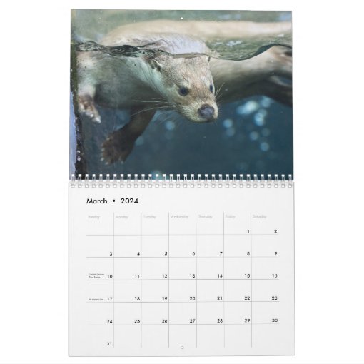 Adorable Sea Otters 2024 Calendar Zazzle   Adorable Sea Otters 2024 Calendar R6044cd1b4f7b464d8a6819c8a2901480 Ufxkv 8byvr 510 