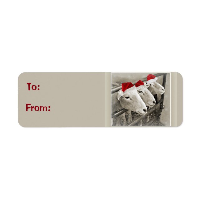 Adorable Sheep Holiday Gift Labels (Front)