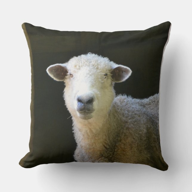 Adorable Sheep Throw Pillow (Front)