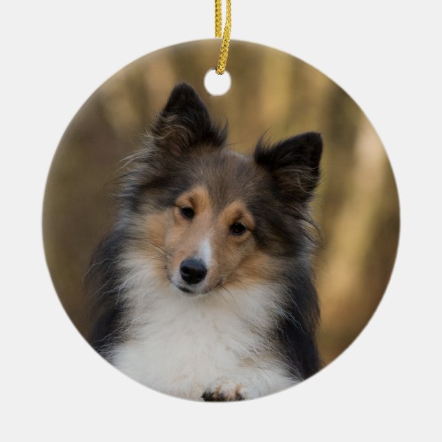 Adorable Sheltie Ceramic Ornament (Front)