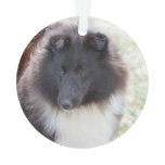 Adorable Sheltie Ornament