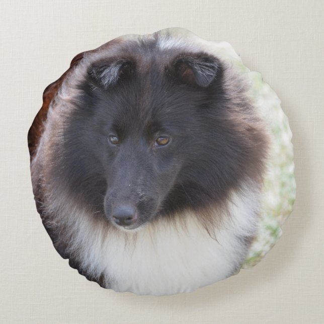Adorable Sheltie Round Pillow (Back)