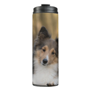 Adorable Sheltie Thermal Tumbler