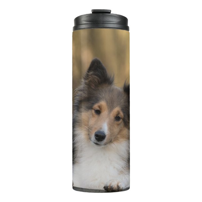 Adorable Sheltie Thermal Tumbler (Front)