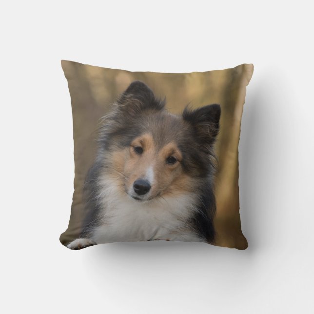 Adorable Sheltie Throw Pillow (Front)