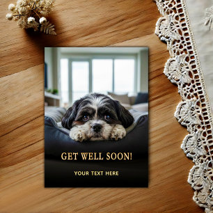 Adorable Shih Tzu Get Well Postcard
