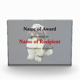 Adorable Shih Tzu Puppy Acrylic Award