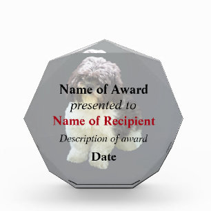 Adorable Shih Tzu Puppy Acrylic Award