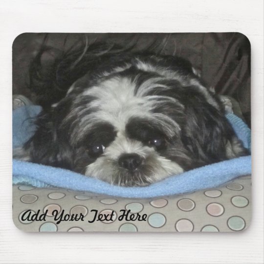 Adorable Shih Tzu Puppy Mouse Pad To Personalize Zazzle Com