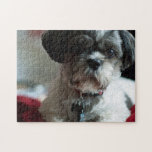 Adorable Shih Tzu Puzzle<br><div class="desc">Puzzles are a great way to spend quality time together! Especially during a world-wide pandemic! I hope this puzzle of our sweet Bentley brings joy to your home!</div>