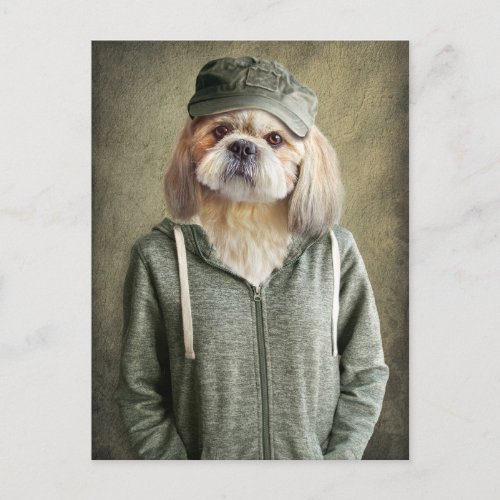 Adorable Shih Tzu Wearing a Cap and Hoodie Postcard