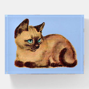 adorable Siamese cat kitten print Paperweight