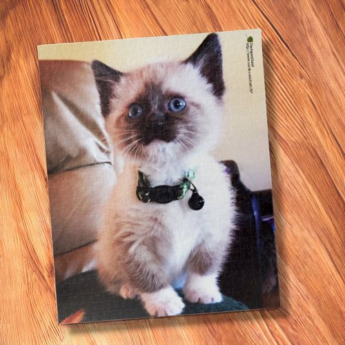 Adorable Siamese Kitten Blue Eye Close_up Photo Jigsaw Puzzle