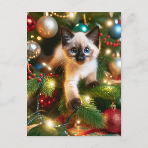 Adorable Siamese Kitten Christmas Postcard