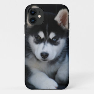 Adorable Siberian Husky Sled Dog Puppy iPhone 11 Case