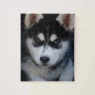 Adorable Siberian Husky Sled Dog Puppy Jigsaw Puzzle