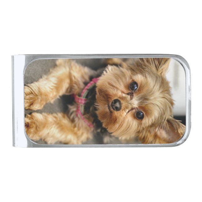 Adorable Silver Finish Money Clip (Front)