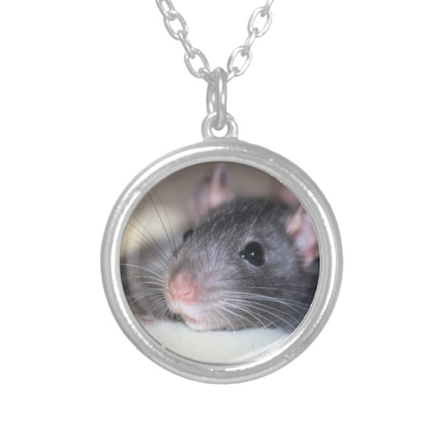 Adorable Silver Plated Necklace (Front)