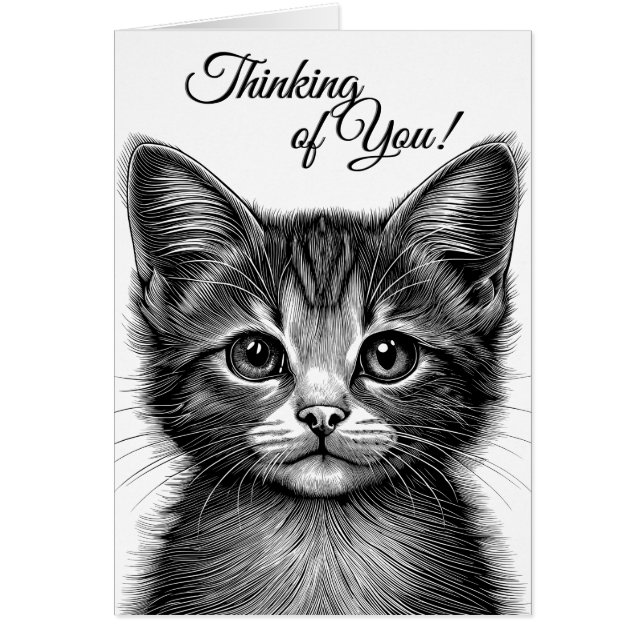 Adorable Sketch of Young Cat Blank Inside  (Front)