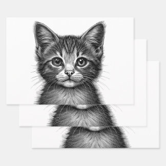 Adorable Sketch of Young Cat   Wrapping Paper Sheets