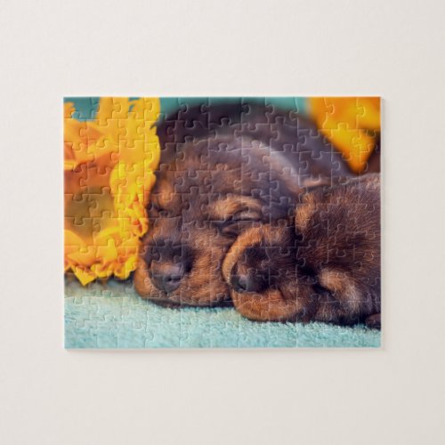 Adorable sleeping Doxen puppies Jigsaw Puzzle