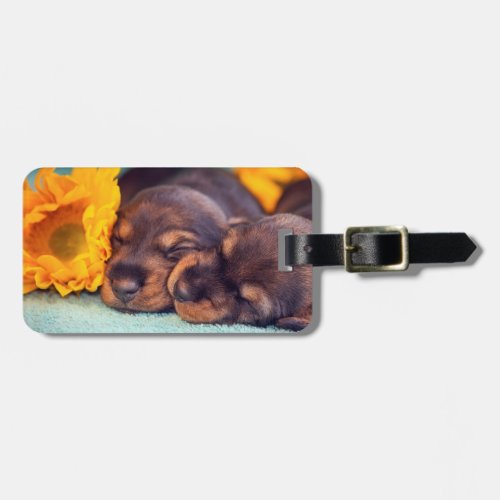 Adorable sleeping Doxen puppies Luggage Tag