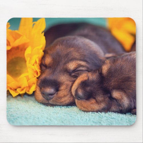 Adorable sleeping Doxen puppies Mouse Pad