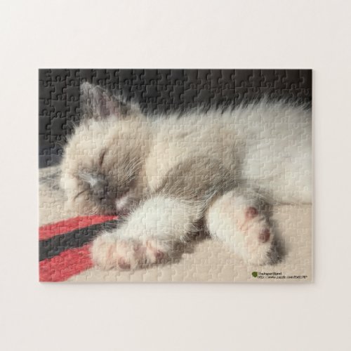 Adorable Sleeping Kitten Photograph Jigsaw Puzzle