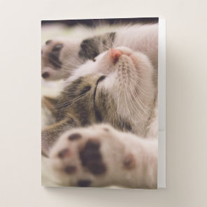 Adorable sleeping kitten pocket folder
