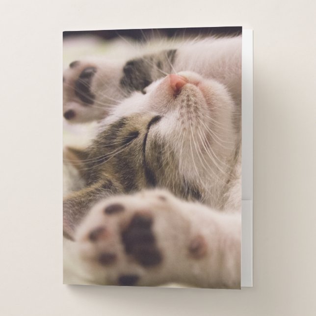Adorable sleeping kitten pocket folder (Front)