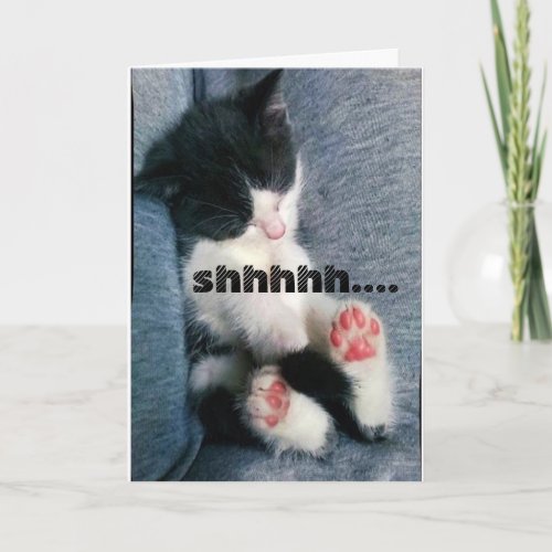 ADORABLE SLEEPING KITTEN SAYS HAPPY BIRTHDAY CARD