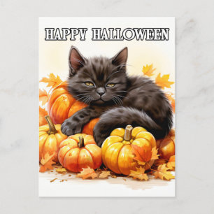 Adorable Sleepy Little Black Kitty Cat Postcard