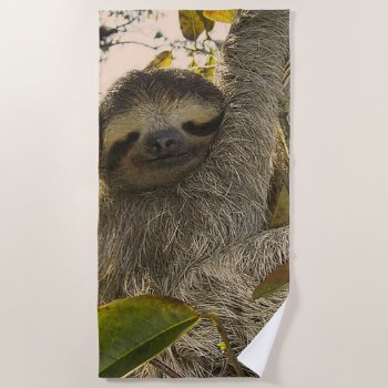 Adorable Sloth Beach Towel by MehrFarbeImLeben at Zazzle