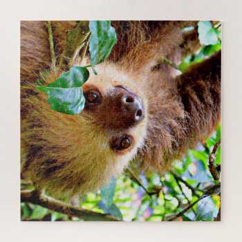 Adorable Sloth Jigsaw Puzzle by MehrFarbeImLeben at Zazzle