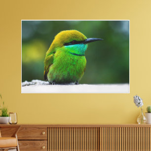 Adorable Small Bird looking image Gallery-Wall Art Canvas Print