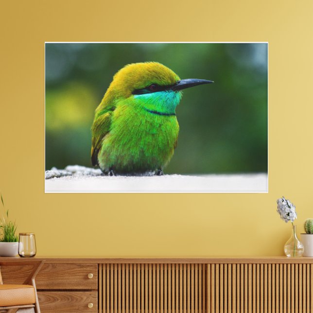 Adorable Small Bird looking image Gallery-Wall Art Canvas Print (Insitu(LivingRoom))