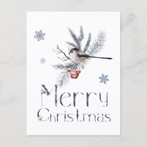 Adorable Small Bird Sits On A Pine Branch Postcard