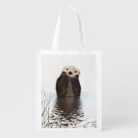 Adorable Smiling Otter in Lake