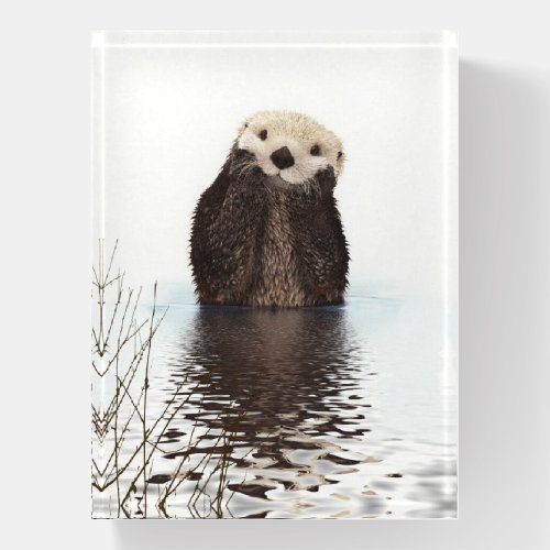 Adorable Smiling Otter in Lake Paperweight