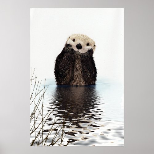 Adorable Smiling Otter in Lake Poster