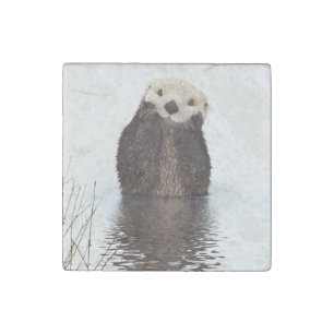 Adorable Smiling Otter in Lake Stone Magnet