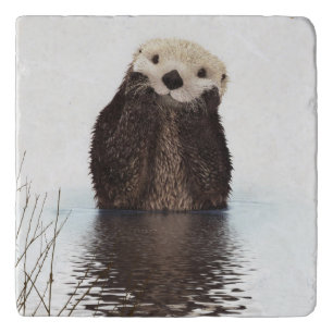 Adorable Smiling Otter in Lake Trivet