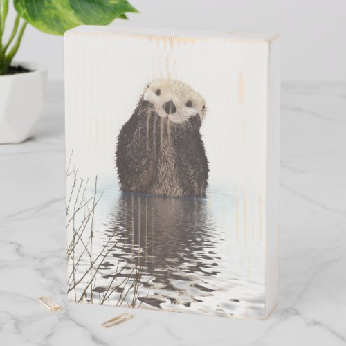 Adorable Smiling Otter in Lake Wooden Box Sign